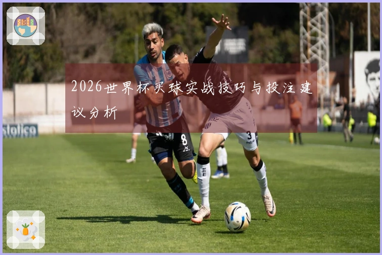 2026世界杯买球实战技巧与投注建议分析