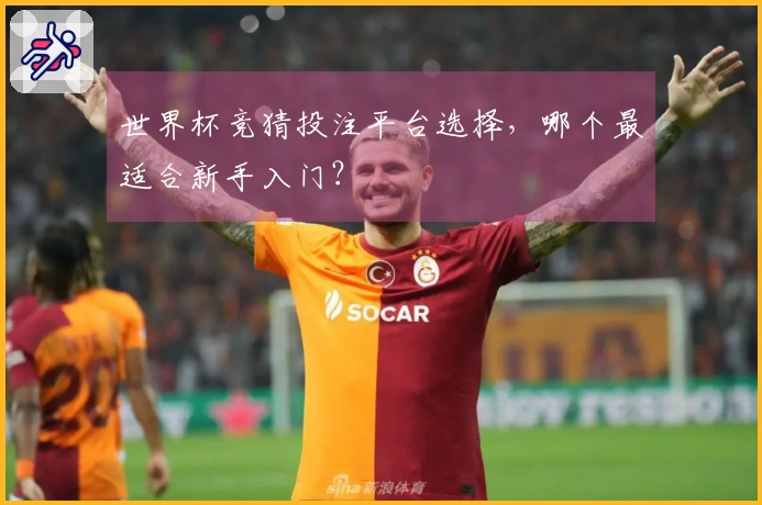 世界杯竞猜投注平台选择，哪个最适合新手入门？