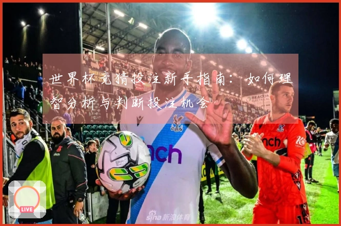 世界杯竞猜投注新手指南：如何理智分析与判断投注机会
