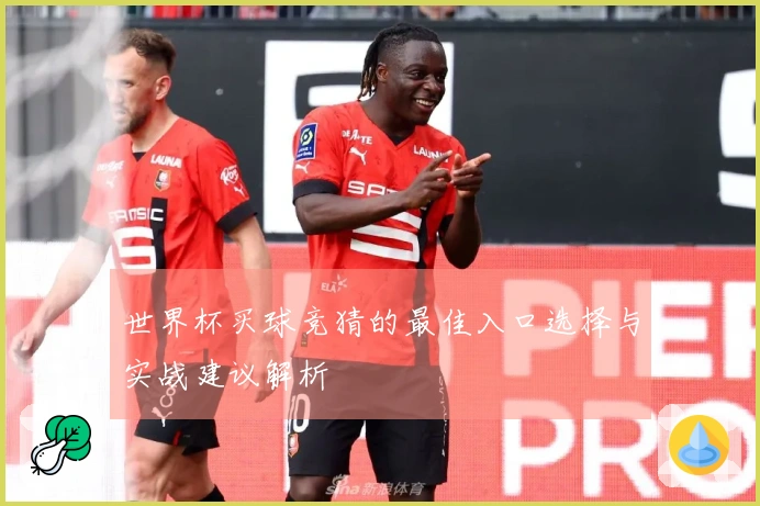 世界杯买球竞猜的最佳入口选择与实战建议解析