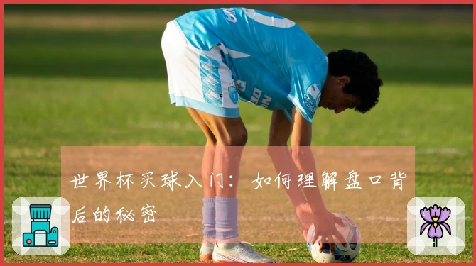 世界杯买球入门：如何理解盘口背后的秘密