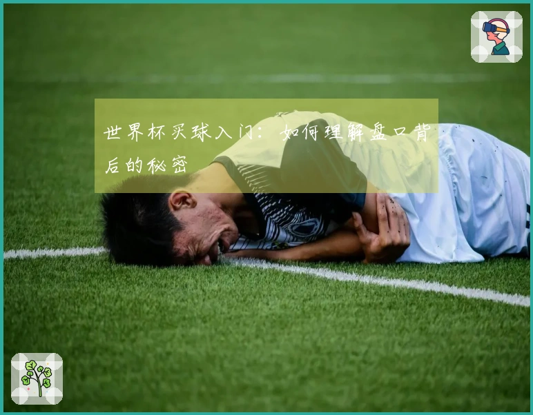 世界杯买球入门：如何理解盘口背后的秘密