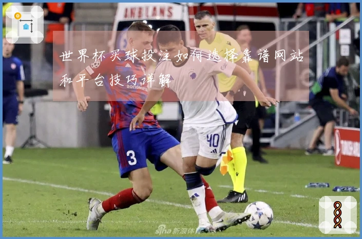 世界杯买球投注如何选择靠谱网站和平台技巧详解
