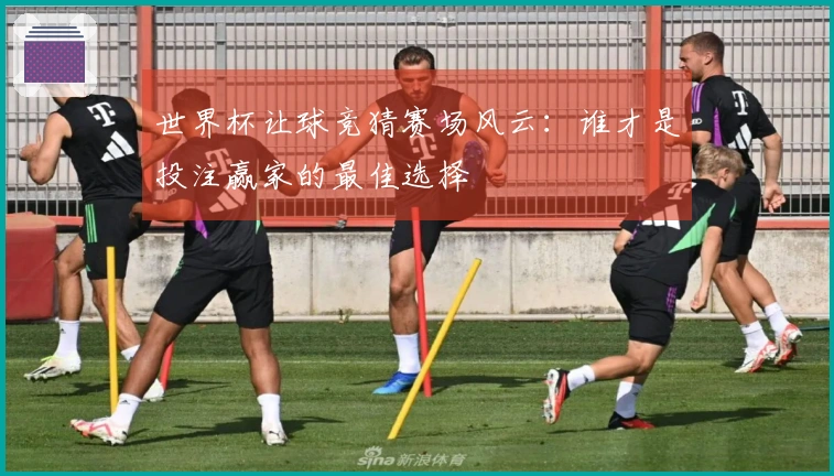世界杯让球竞猜赛场风云：谁才是投注赢家的最佳选择